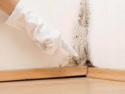 Best Residential Mold Inspection & Testing  in Aberdeen, OH